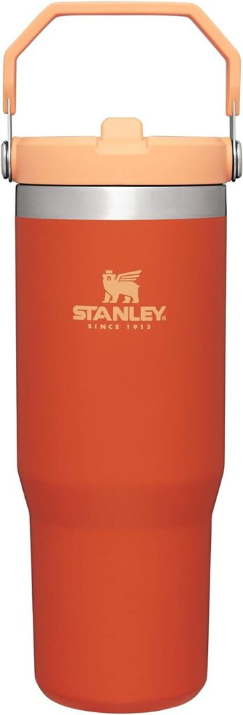 Stanley IceFlow Stainless Steel Tumbler with Straw - Vacuum Insulated Water Bottle for Home, Office or Car - Reusable Cup with Straw Leakproof Flip